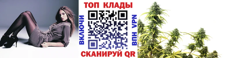 Купить наркотики цена Новодвинск Alpha PVP COCAIN Меф ГАШ