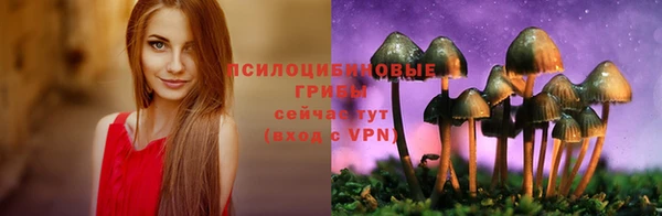 каннабис Арсеньев