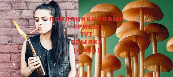 каннабис Арсеньев